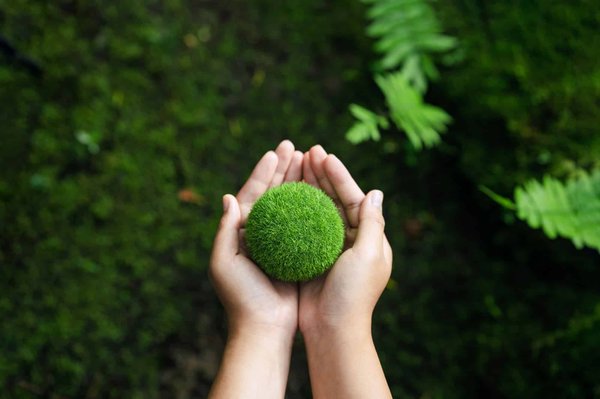 Exploring the Effects of Ultra-Low Emission Zones on Home Values in Urban Areas